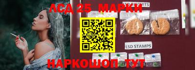 PSILOCYBIN Краснознаменск