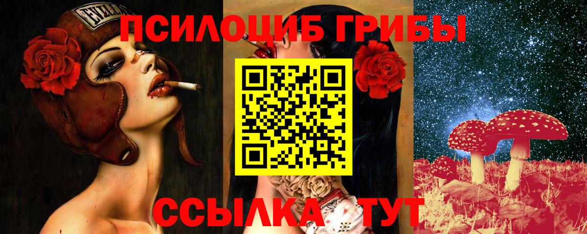 Галлюциногенные грибы MAGIC MUSHROOMS Каменка